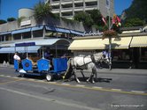 reitschulevoegeli-tram-02.jpg