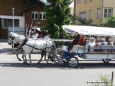 reitschulevoegeli-tram-03.jpg